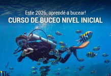 En este 2026, aprendé a bucear!