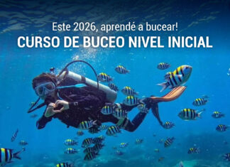 En este 2026, aprendé a bucear!