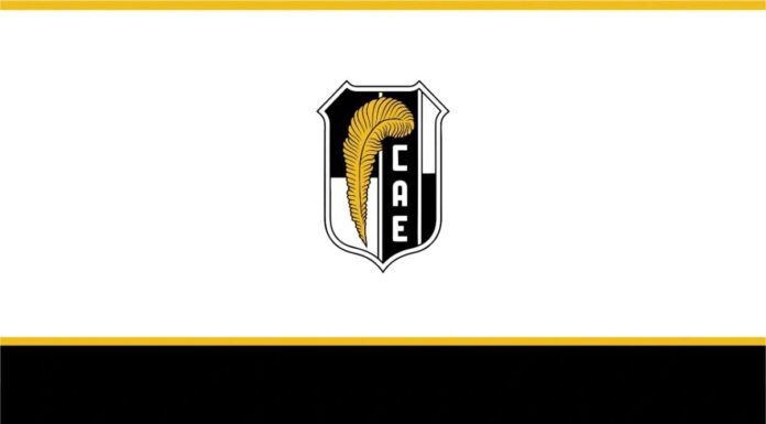 Suspensión preventiva de actividades en Sede Plumín