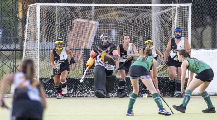 Torneos Tin Avero y Estela Cichero