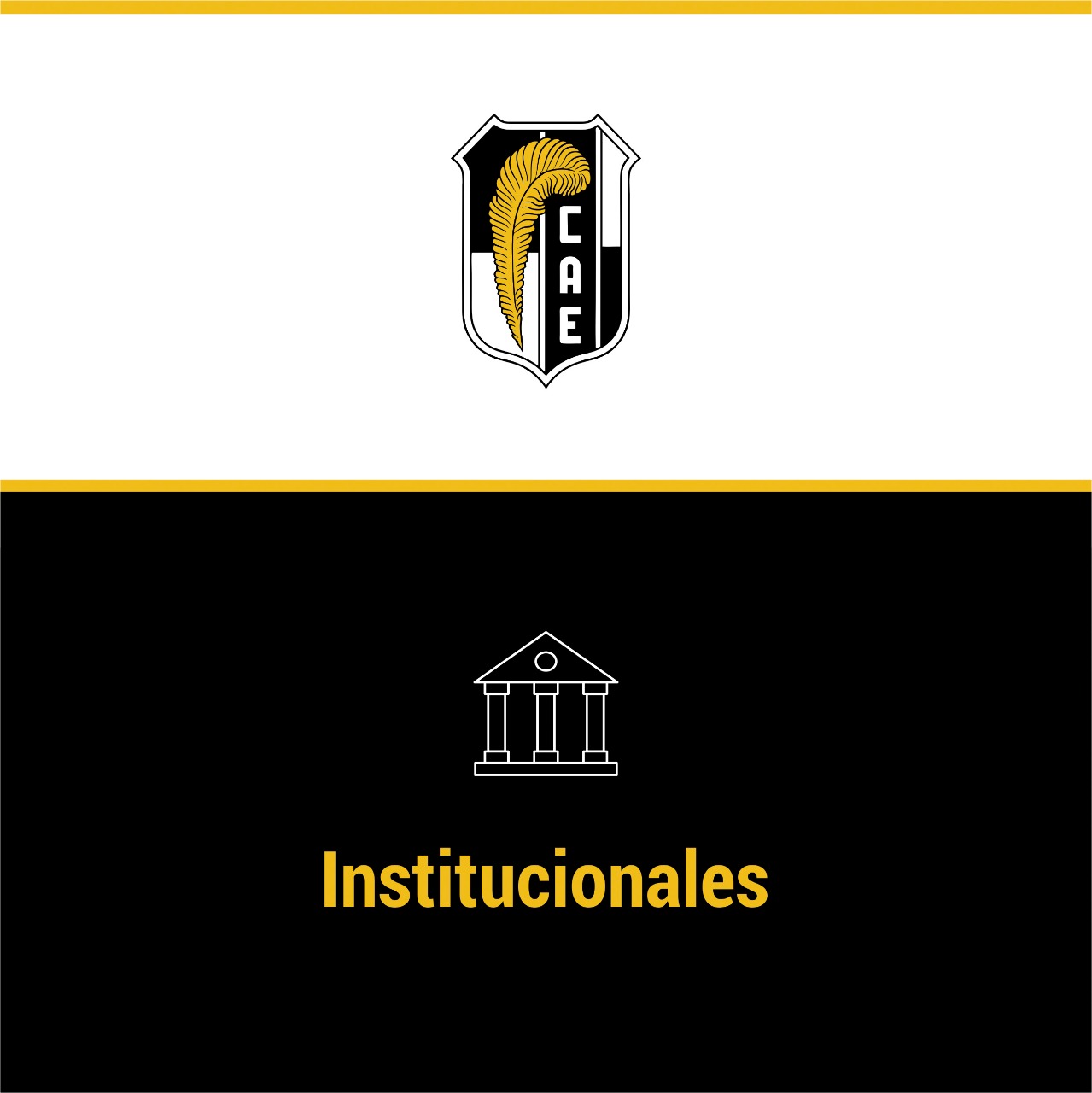 Asamblea Anual Ordinaria